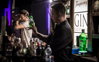 Halle Gin Fest Cocktail Mixer